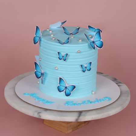 Blue Birthday Butterfly Cake
